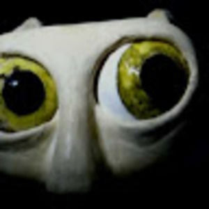 Meet your Posher, Magda